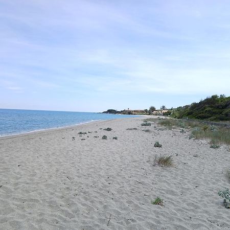 Terres De France - Les Hauts Du Maquis Linguizzetta Luaran gambar